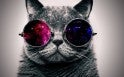 Seth and Cat Telepathy, Jane Roberts, The Nature of Personal Reality, Lynda Madden Dahl